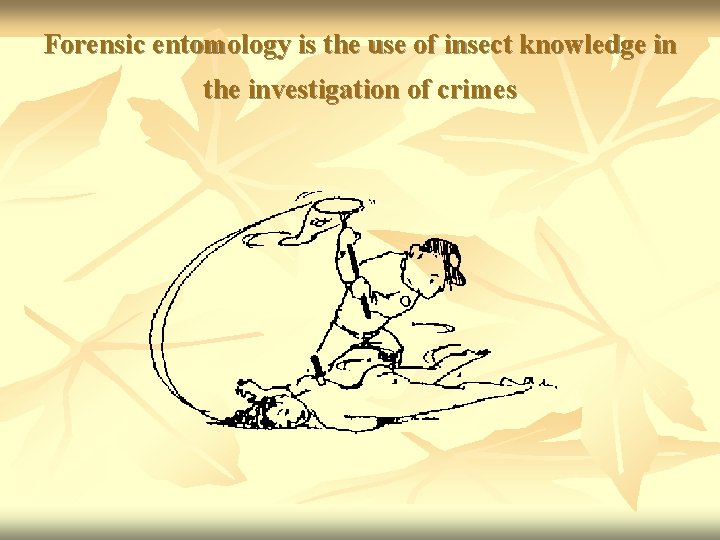 Forensic entomology is the use of insect knowledge in the investigation of crimes 