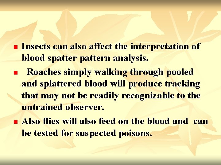 n n n Insects can also affect the interpretation of blood spattern analysis. Roaches