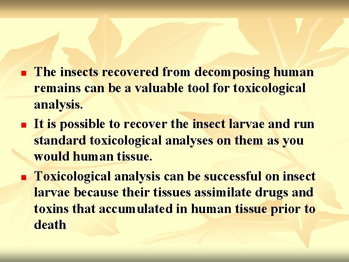 n n n The insects recovered from decomposing human remains can be a valuable