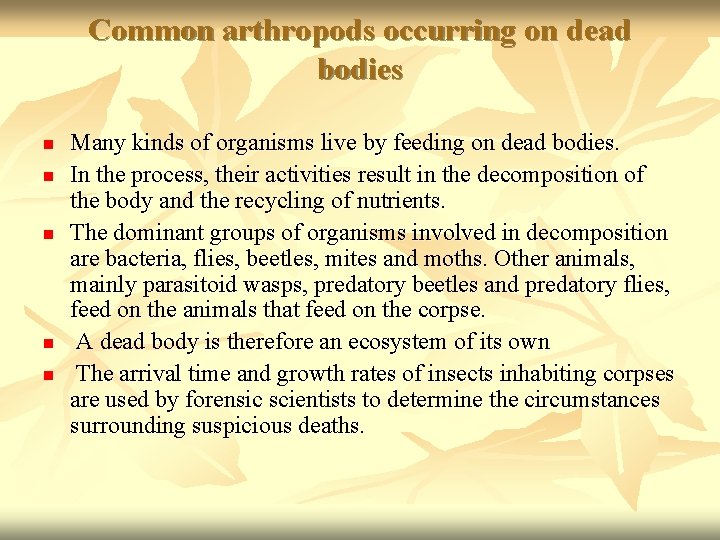 Common arthropods occurring on dead bodies n n n Many kinds of organisms live