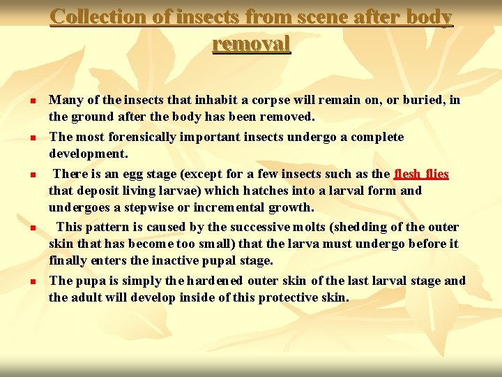 Collection of insects from scene after body removal n n n Many of the