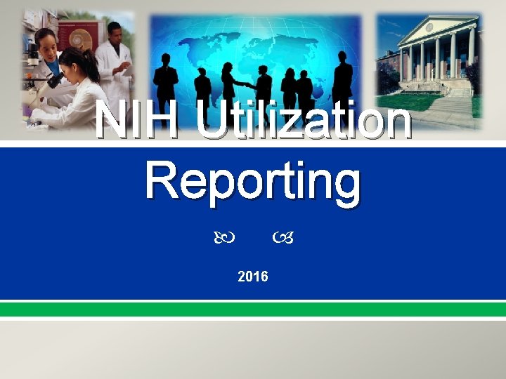 NIH Utilization Reporting 2016 