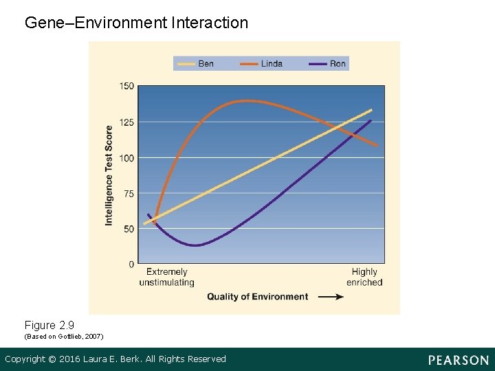 Gene–Environment Interaction Figure 2. 9 (Based on Gottlieb, 2007) Copyright © 2016 Laura E.