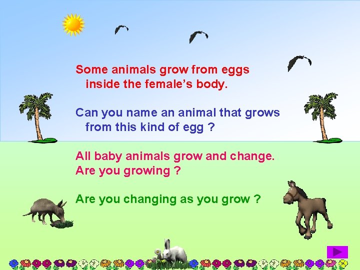 Some animals grow from eggs inside the female’s body. Can you name an animal