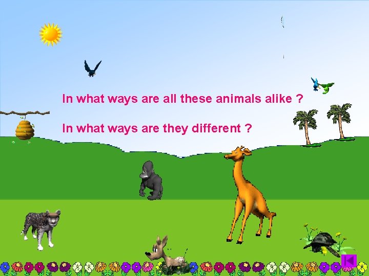 In what ways are all these animals alike ? In what ways are they