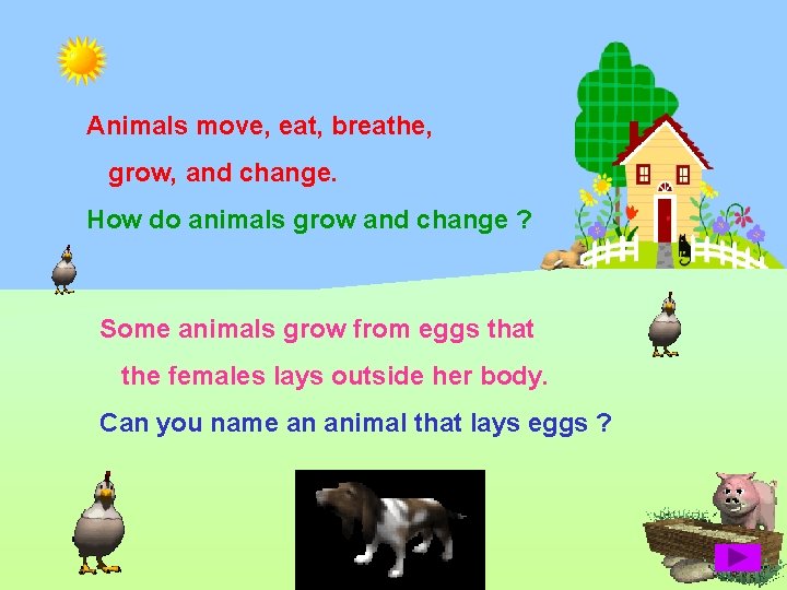 Animals move, eat, breathe, grow, and change. How do animals grow and change ?