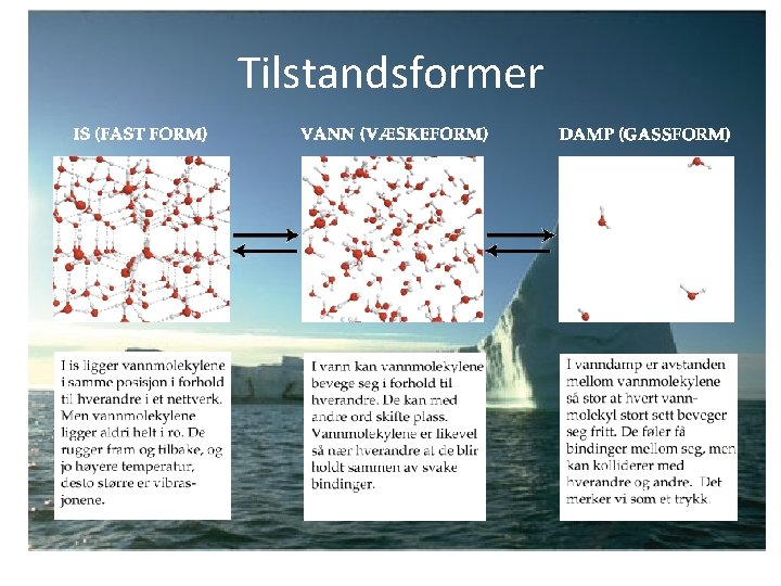 Tilstandsformer 