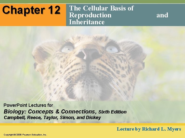 Chapter 12 The Cellular Basis of Reproduction Inheritance and Power. Point Lectures for Biology: