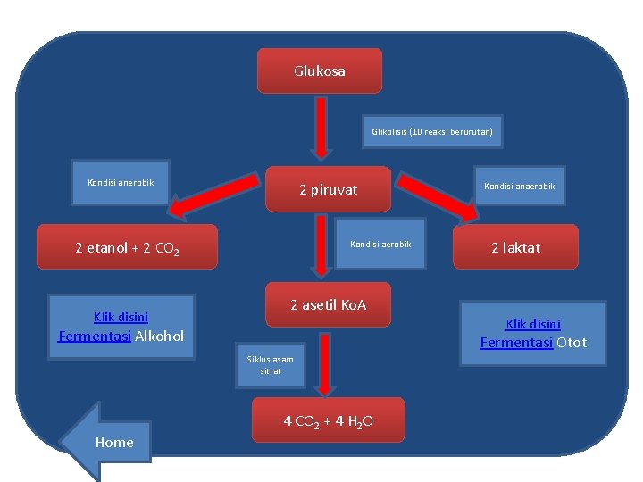 Glukosa Glikolisis (10 reaksi berurutan) Kondisi anerobik 2 piruvat 2 etanol + 2 CO