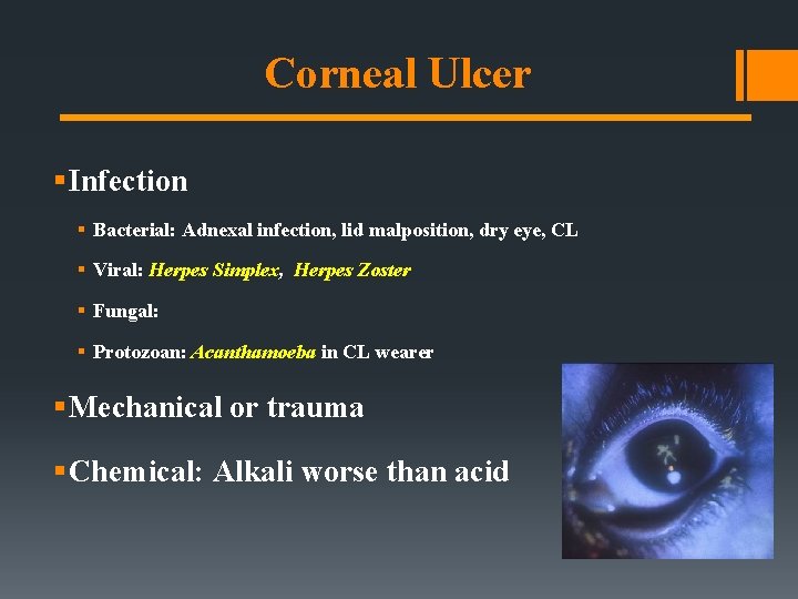 Corneal Ulcer § Infection § Bacterial: Adnexal infection, lid malposition, dry eye, CL §