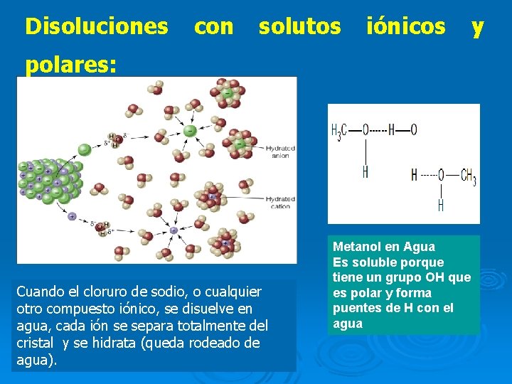 Disoluciones con solutos iónicos polares: Cuando el cloruro de sodio, o cualquier otro compuesto