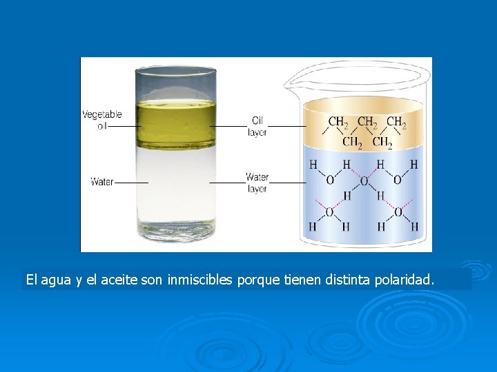 El agua y el aceite son inmiscibles porque tienen distinta polaridad. 
