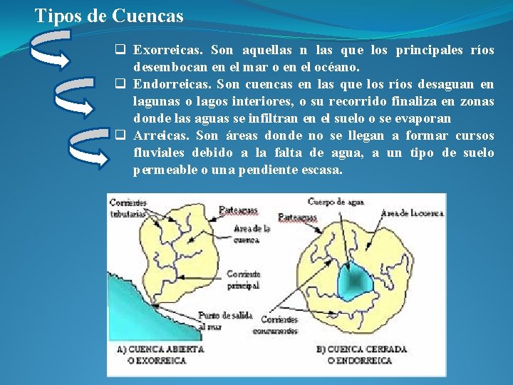 Tipos de Cuencas q Exorreicas. Son aquellas n las que los principales ríos desembocan