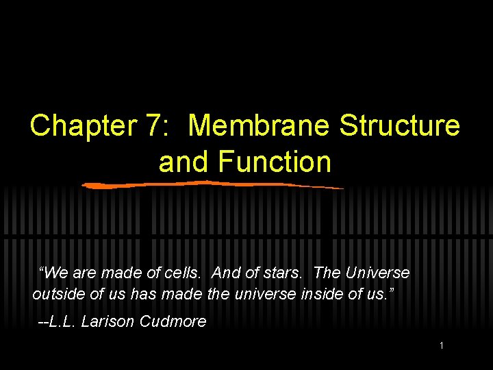 Chapter 7: Membrane Structure and Function “We are made of cells. And of stars.