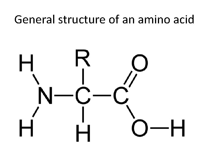 General structure of an amino acid 