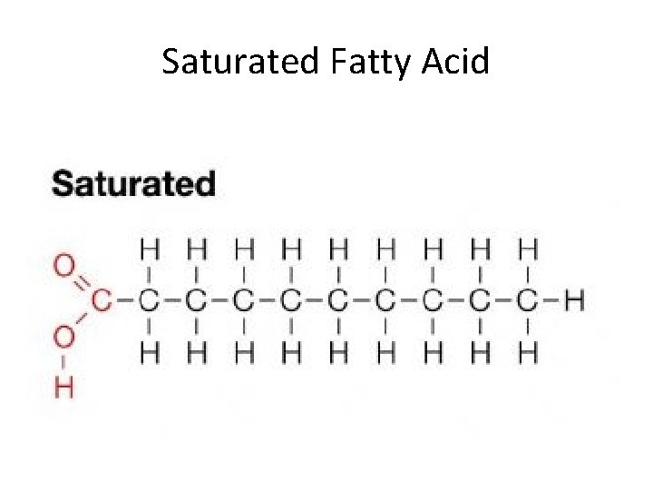 Saturated Fatty Acid 