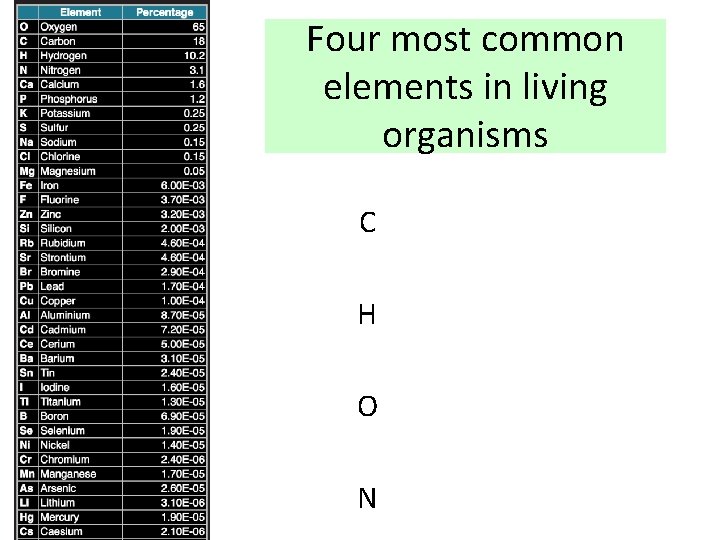 Four most common elements in living organisms C H O N 