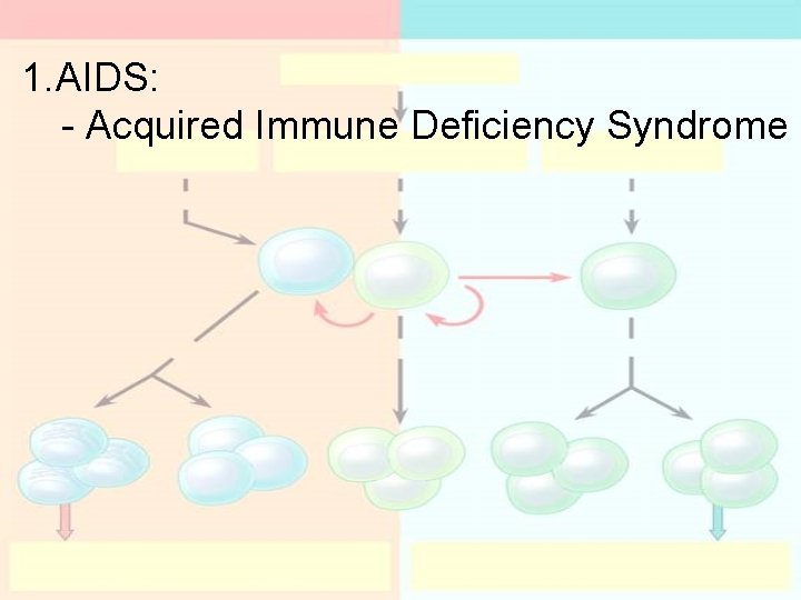1. AIDS: - Acquired Immune Deficiency Syndrome 1. AIDS: - Acquired Immune Deficiency Syndrome