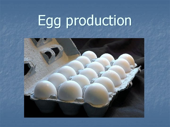 Egg production 