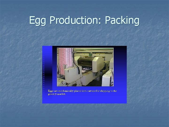 Egg Production: Packing 