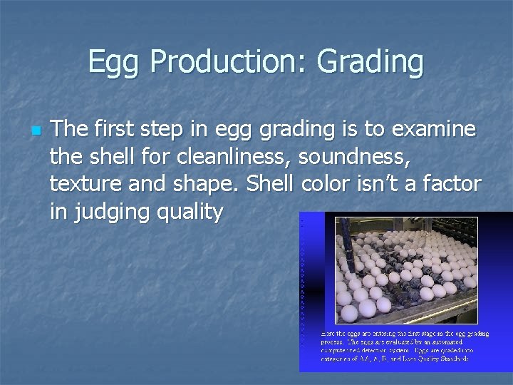 Egg Production: Grading n The first step in egg grading is to examine the