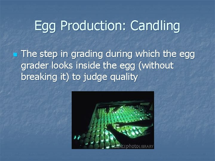 Egg Production: Candling n The step in grading during which the egg grader looks