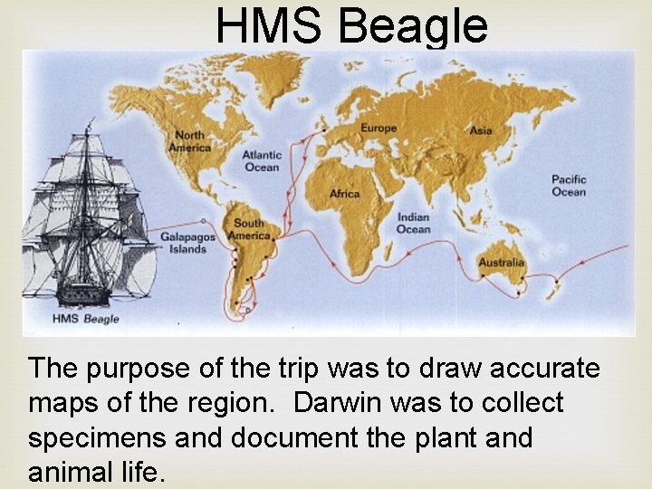 HMS Beagle The purpose of the trip was to draw accurate maps of the