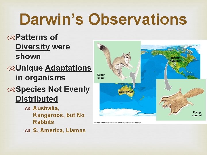 Darwin’s Observations Patterns of Diversity were shown Unique Adaptations in organisms Species Not Evenly