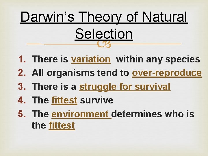 Darwin’s Theory of Natural Selection 1. 2. 3. 4. 5. There is variation within