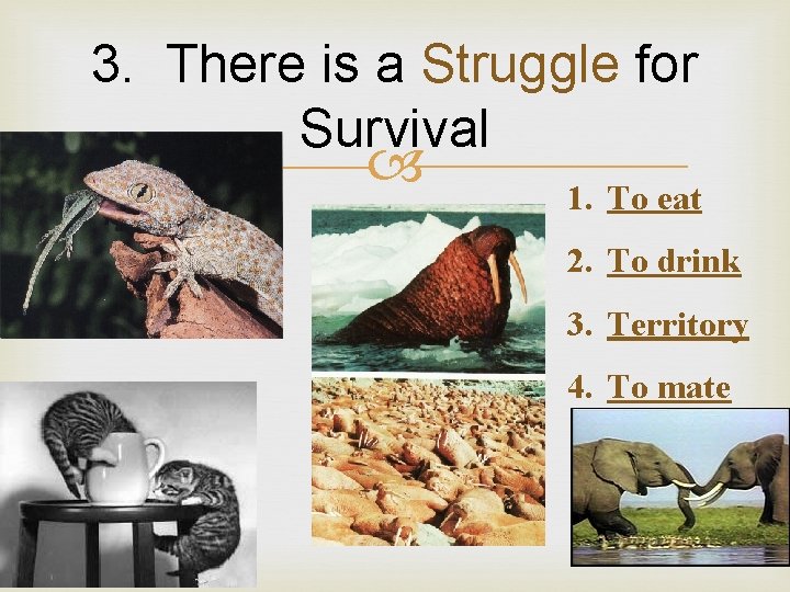 3. There is a Struggle for Survival 1. To eat 2. To drink 3.