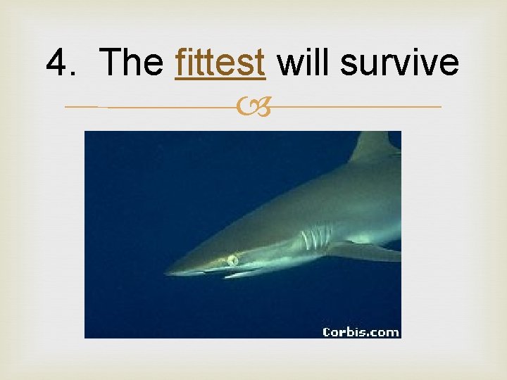 4. The fittest will survive 