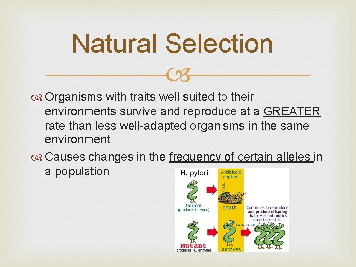 Natural Selection Organisms with traits well suited to their environments survive and reproduce at