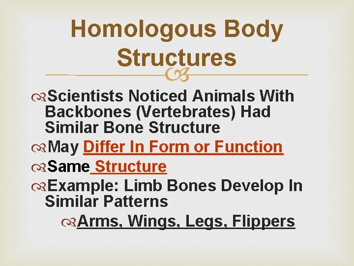 Homologous Body Structures Scientists Noticed Animals With Backbones (Vertebrates) Had Similar Bone Structure May