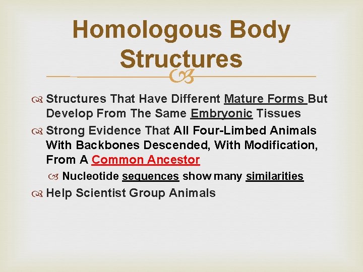 Homologous Body Structures That Have Different Mature Forms But Develop From The Same Embryonic