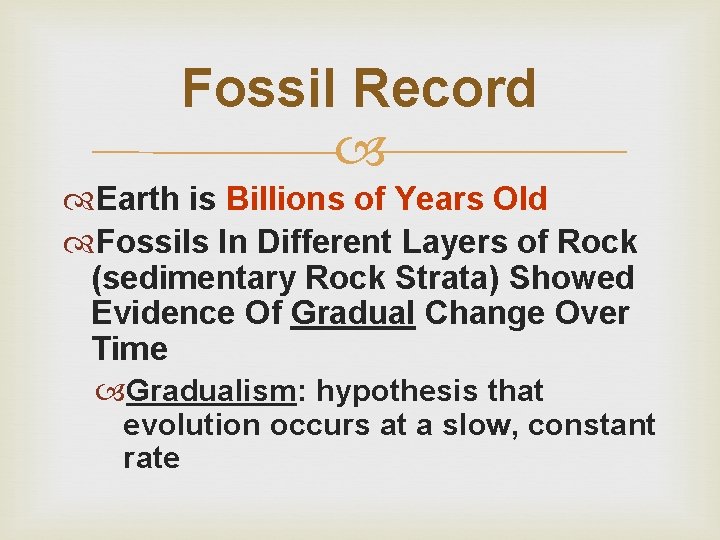 Fossil Record Earth is Billions of Years Old Fossils In Different Layers of Rock