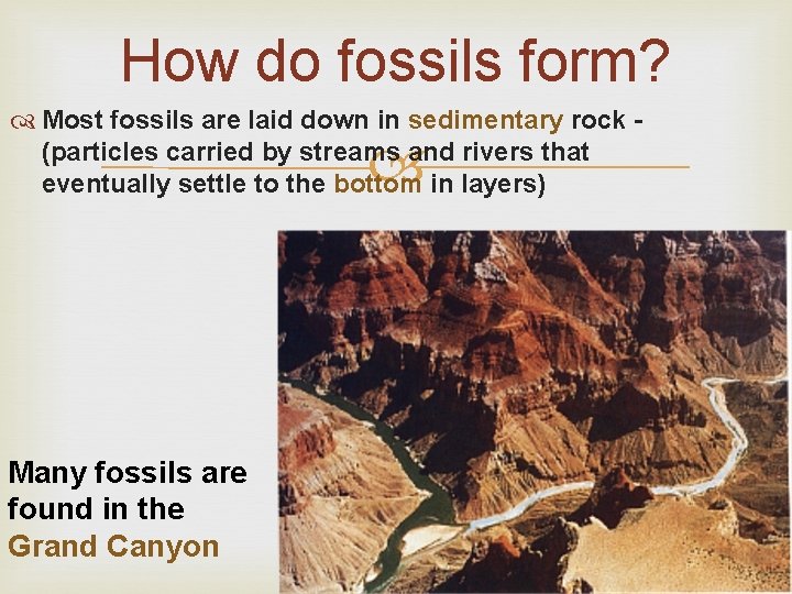 How do fossils form? Most fossils are laid down in sedimentary rock (particles carried
