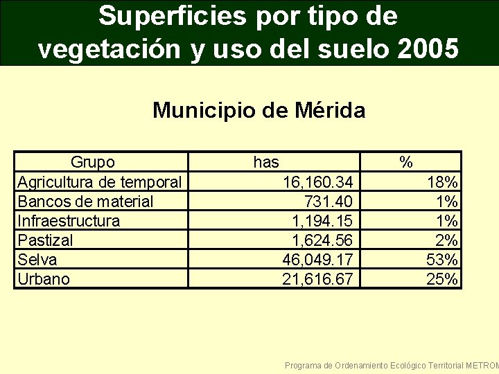 Superficies por tipo de vegetación y uso del suelo 2005 Municipio de Mérida Grupo