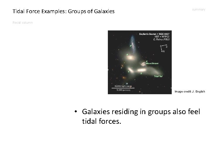 Tidal Force Examples: Groups of Galaxies summary Recall column Image credit: J. English •