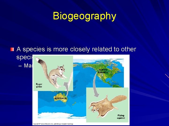 Biogeography A species is more closely related to other species in the same area