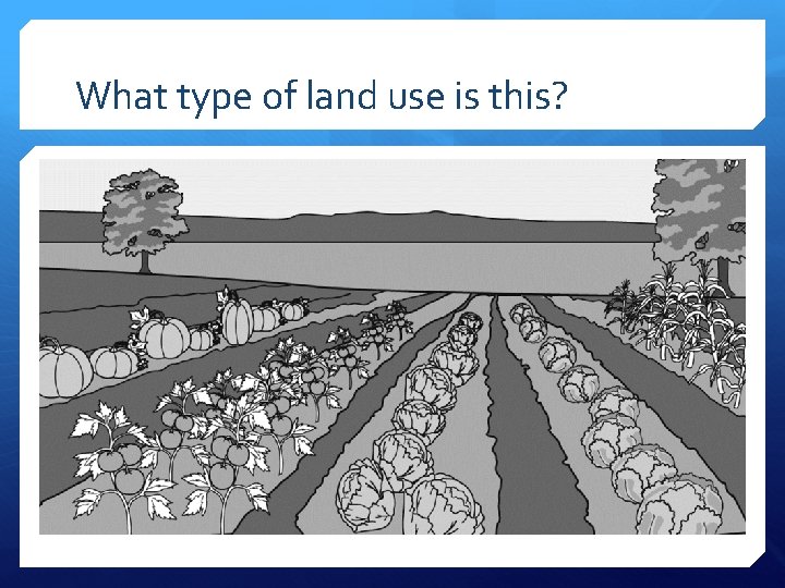 What type of land use is this? 