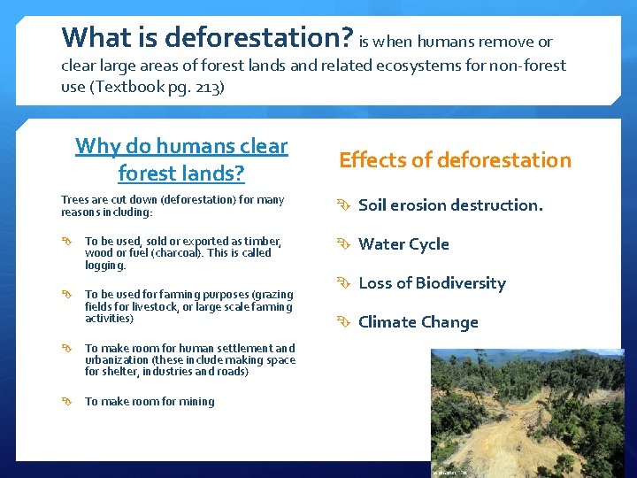 What is deforestation? is when humans remove or clear large areas of forest lands