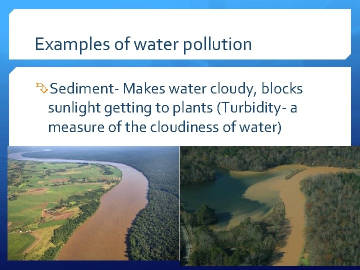 Examples of water pollution Sediment- Makes water cloudy, blocks sunlight getting to plants (Turbidity-