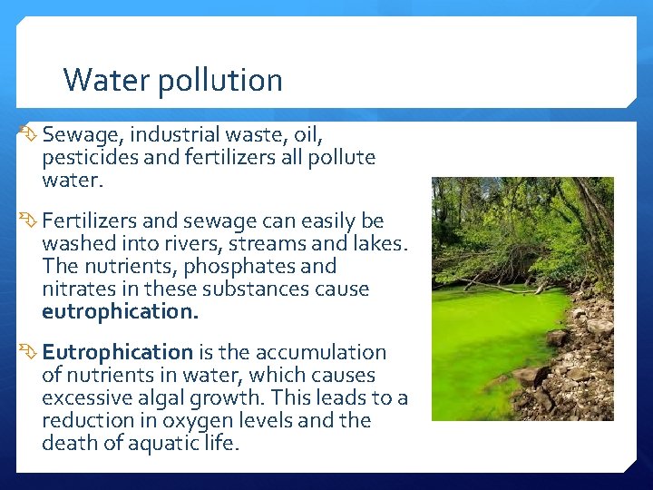 Water pollution Sewage, industrial waste, oil, pesticides and fertilizers all pollute water. Fertilizers and