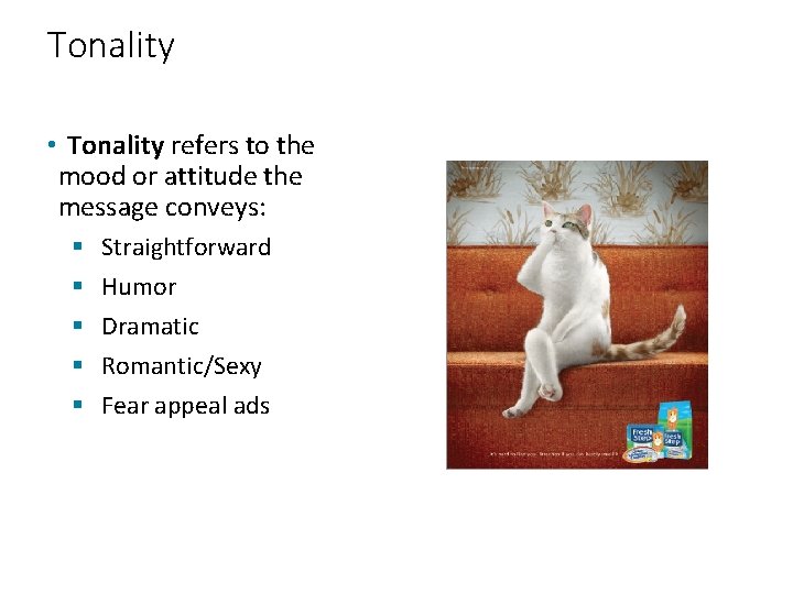 Tonality • Tonality refers to the mood or attitude the message conveys: § §