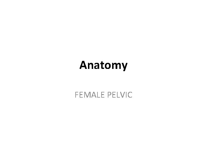 Anatomy FEMALE PELVIC 