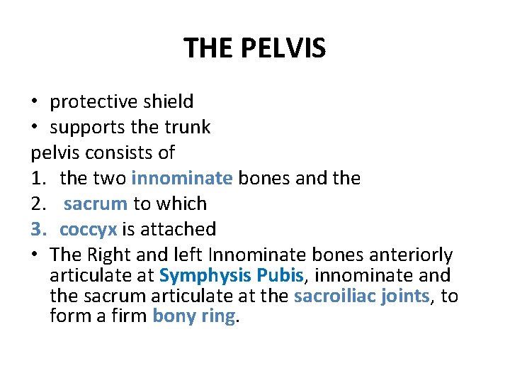 THE PELVIS • protective shield • supports the trunk pelvis consists of 1. the