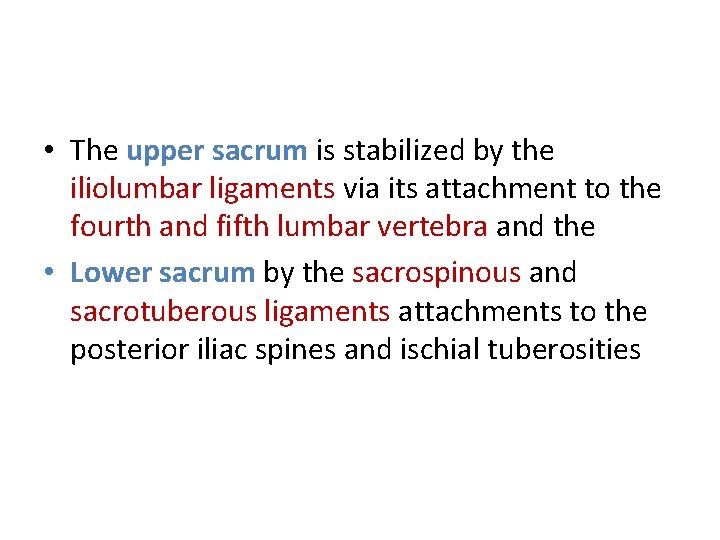  • The upper sacrum is stabilized by the iliolumbar ligaments via its attachment