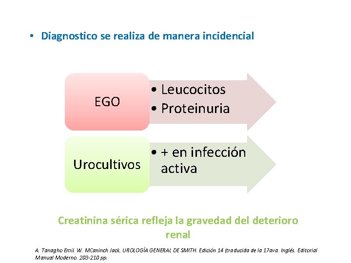  • Diagnostico se realiza de manera incidencial EGO • Leucocitos • Proteinuria •
