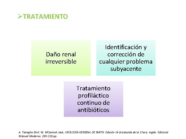 ØTRATAMIENTO Daño renal irreversible Identificación y corrección de cualquier problema subyacente Tratamiento profiláctico continuo