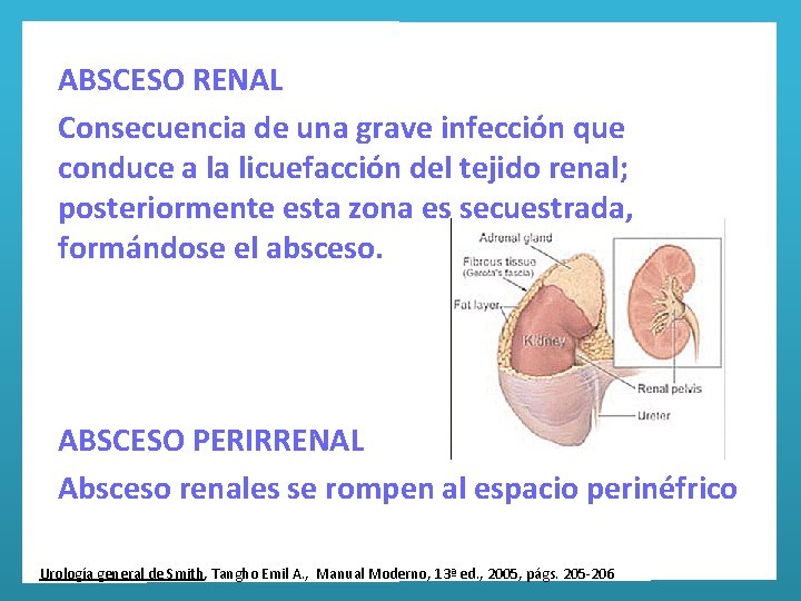 ABSCESO RENAL Consecuencia de una grave infección que conduce a la licuefacción del tejido